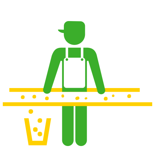 saladitos y el proceso de elaboración