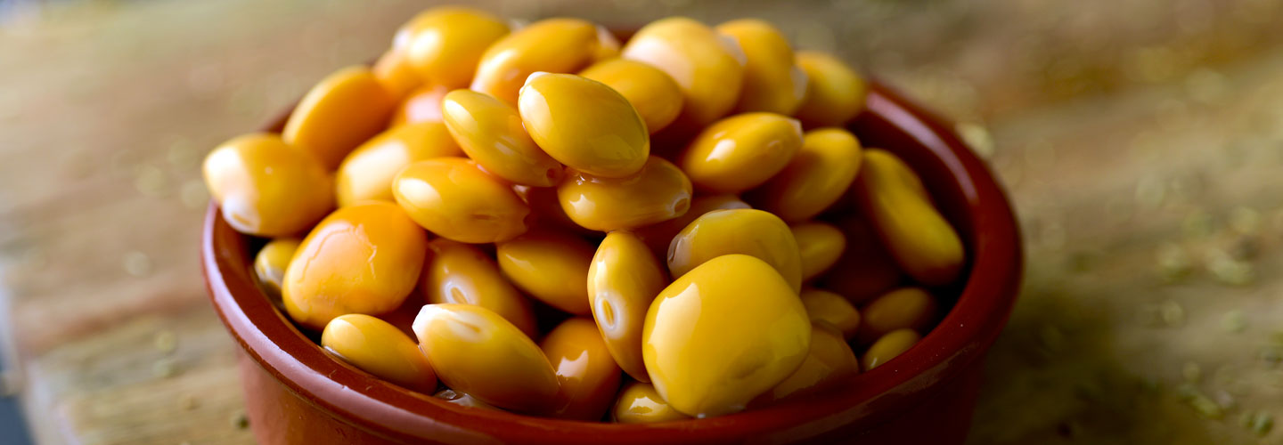 Qué es el altramuz saladitos Qué es el altramuz saladitos